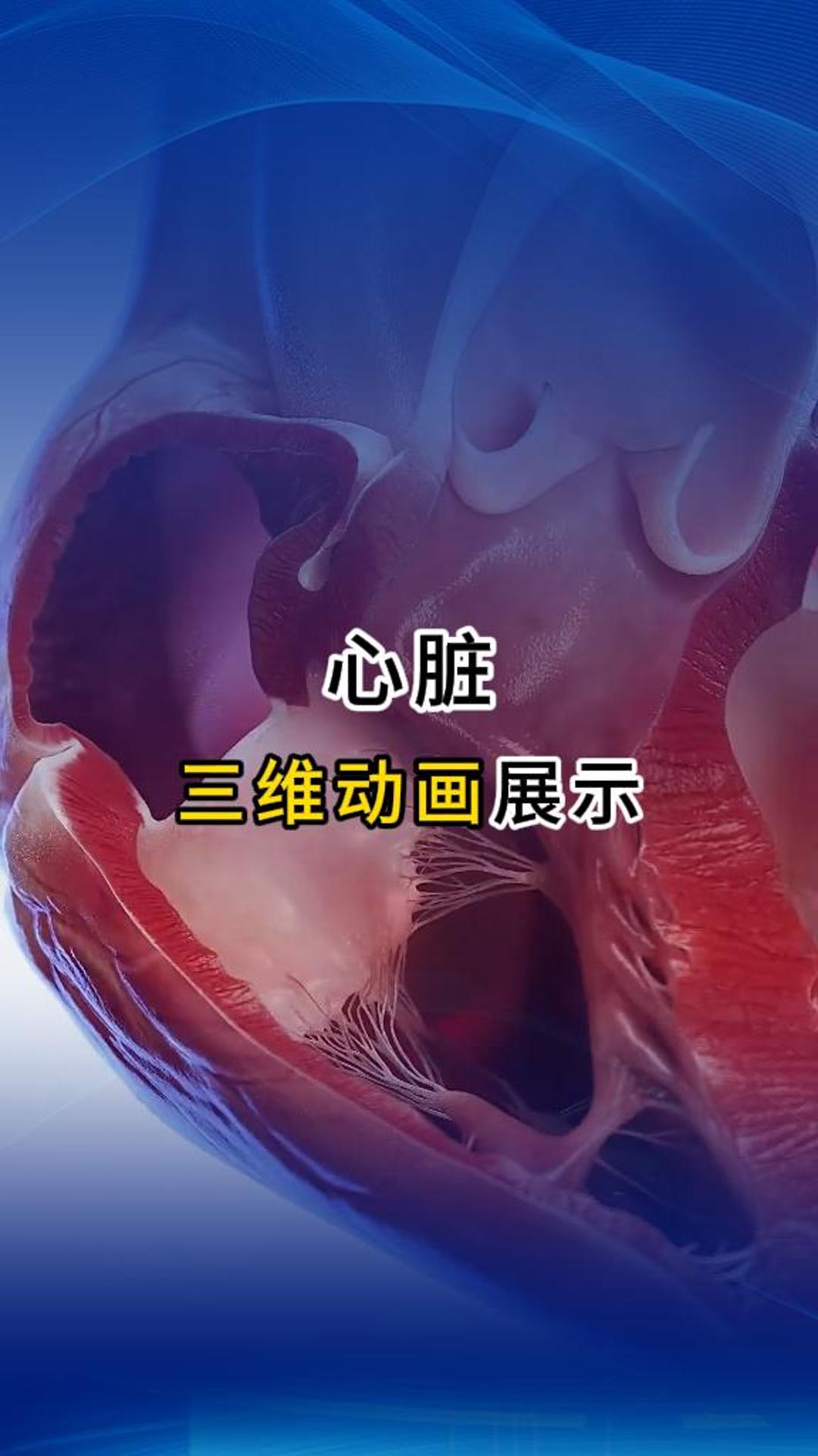 來自心臟的告白！醫療三維動畫-三維動畫制作公司-華匠科技